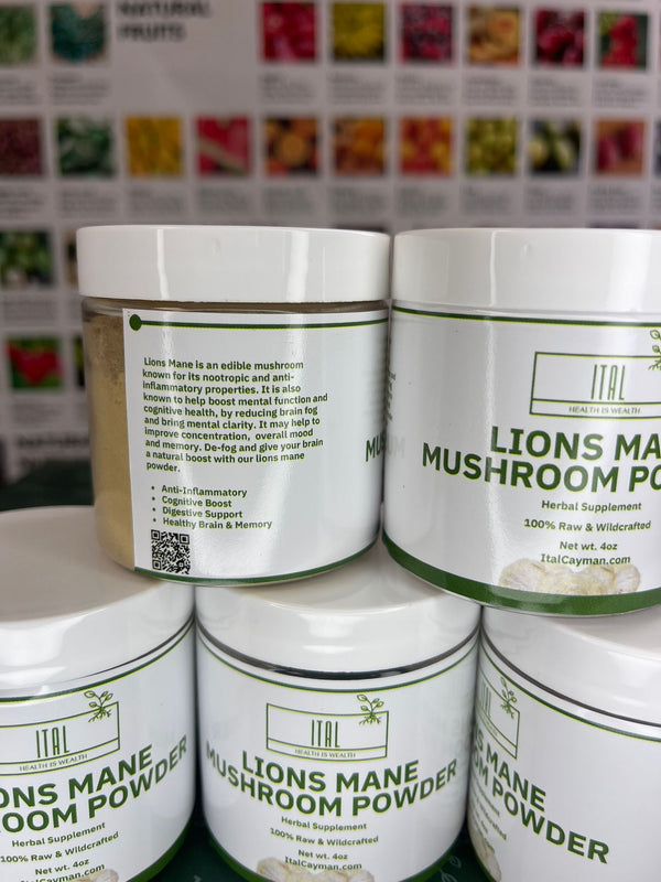 Lions Mane Mushroom Powder