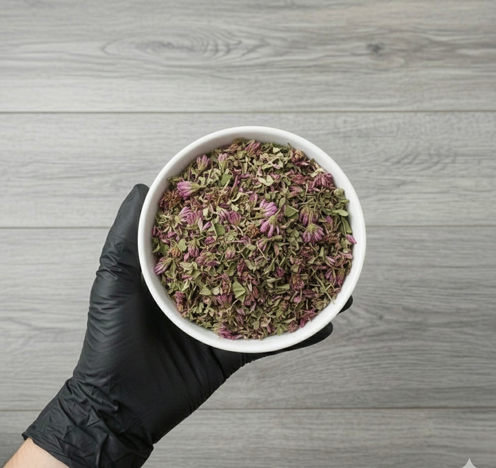 Red Clover