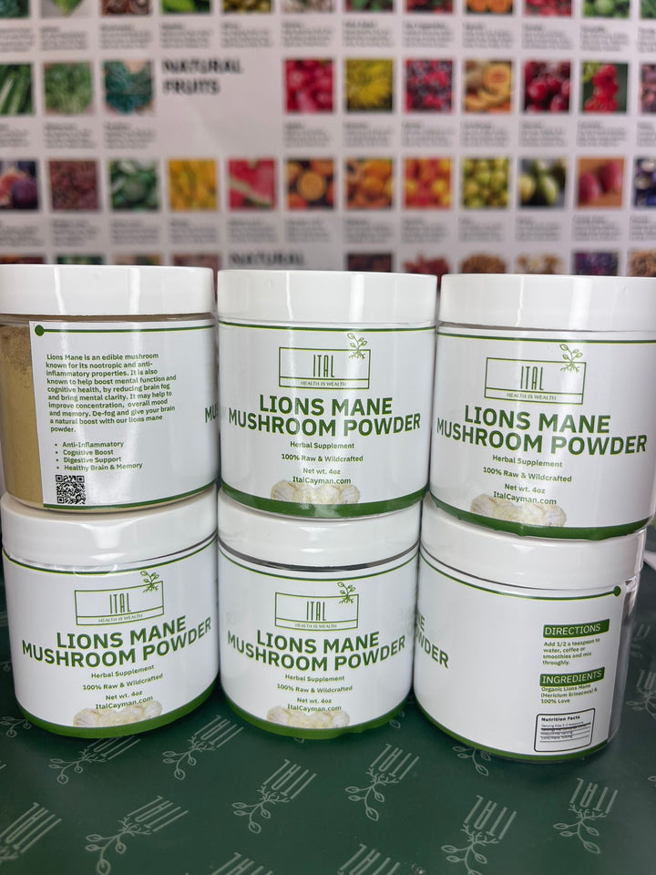 Lions Mane Mushroom Powder