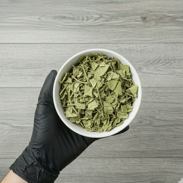 Guinea Hen Weed (Anamu)
