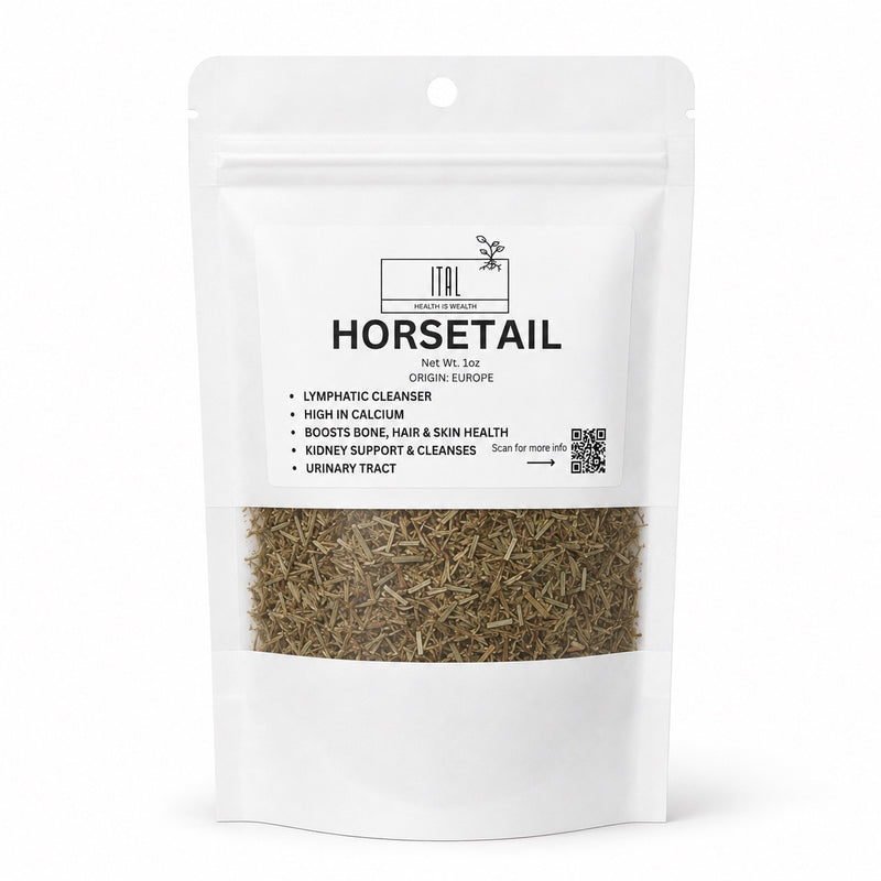Horsetail aka Shavegrass