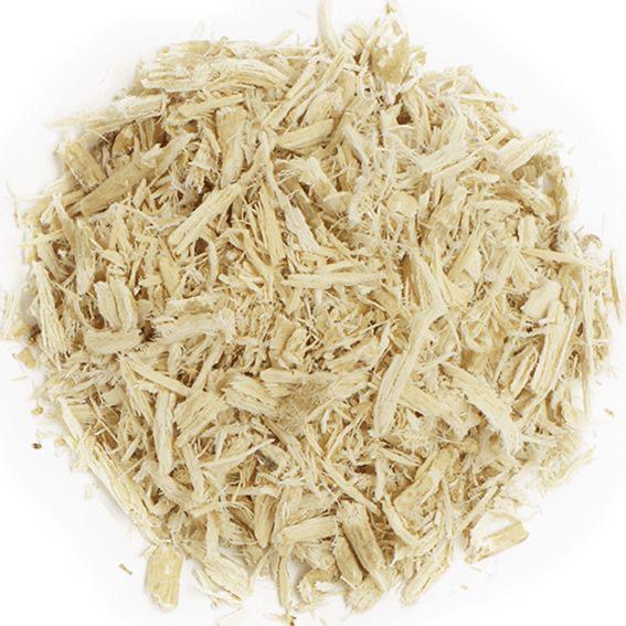 Bitter Wood / Quassia (Quassia amara)